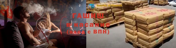 стаф Алзамай