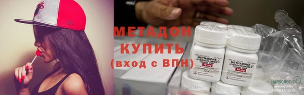 стаф Алзамай