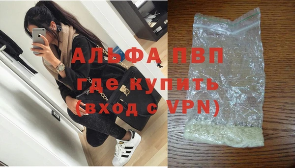 стаф Алзамай